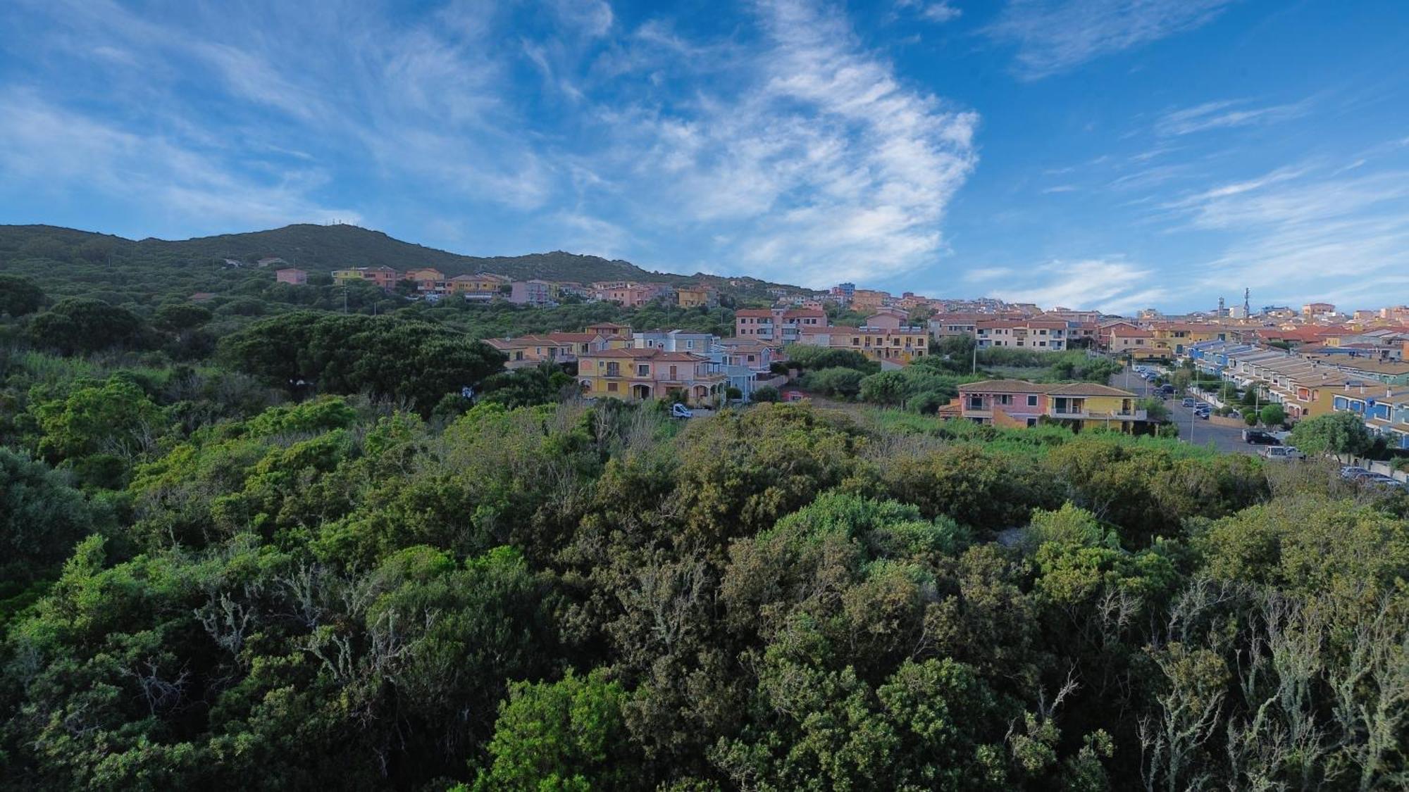 Case Vacanze A Santa Teresa Di Gallura 外观 照片